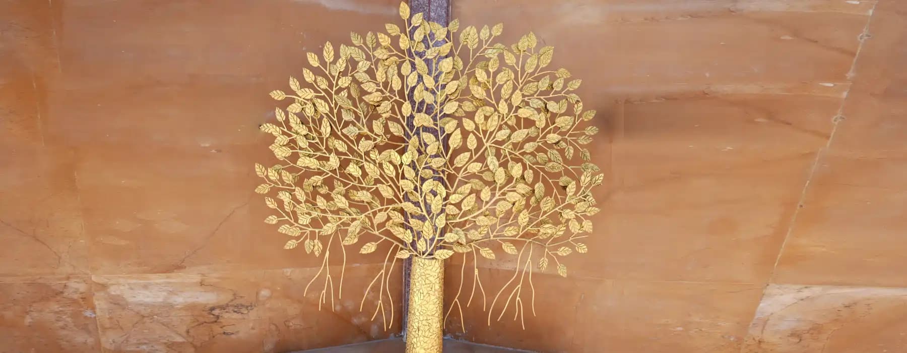   kadamba tree at chaar dham temple vrindavan