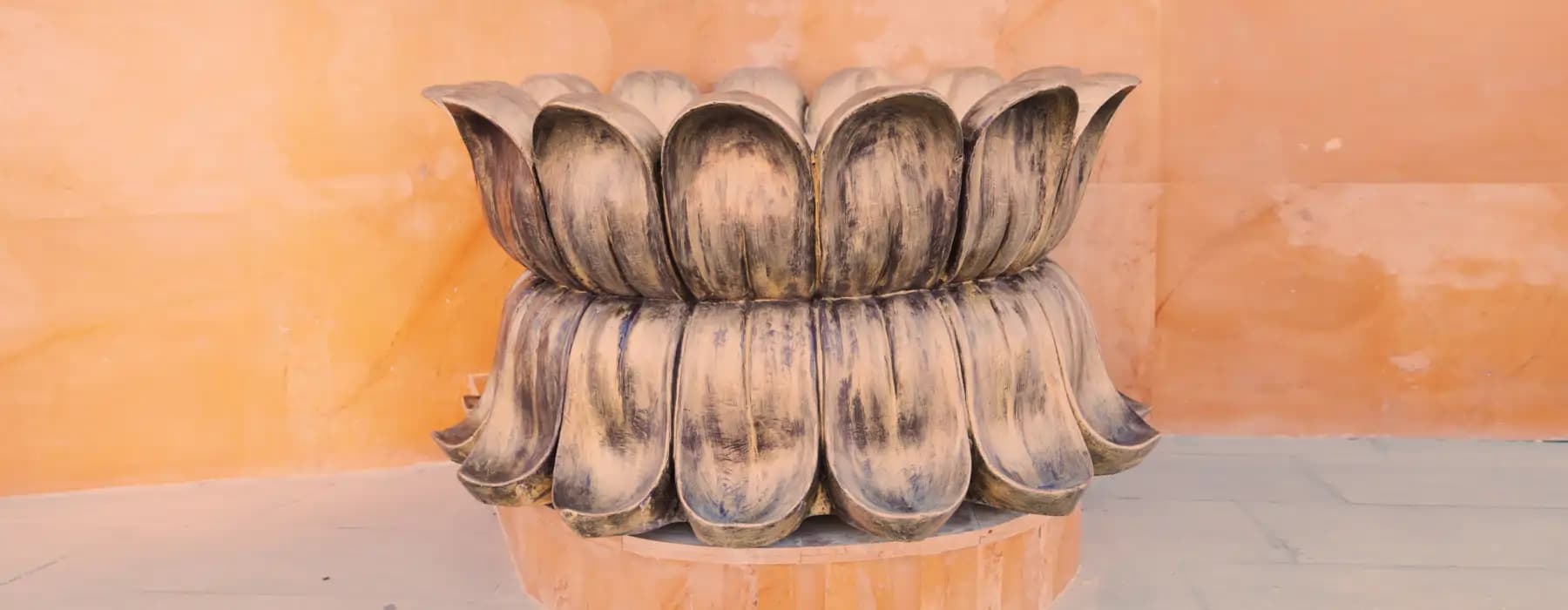   lotus flower at chaar dham temple vrindavan