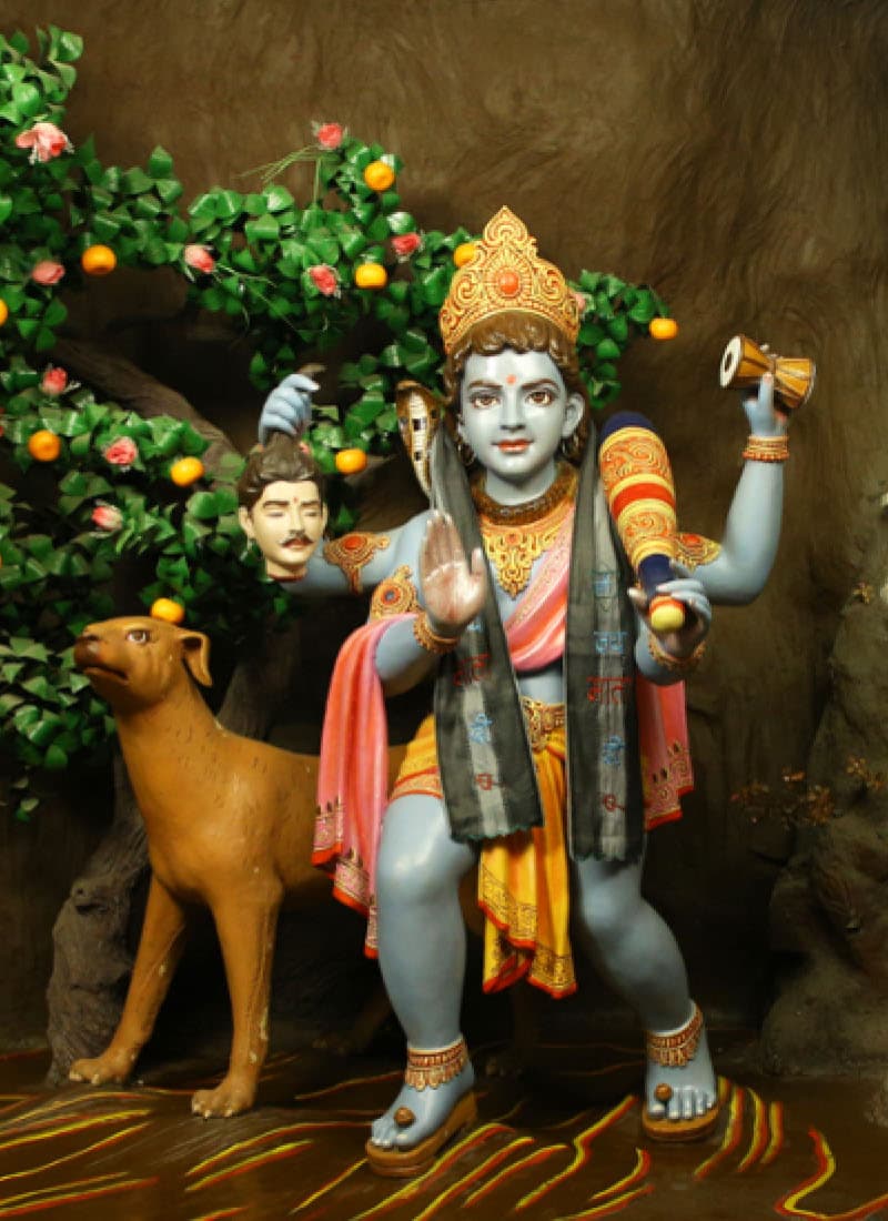 Darshan of Shri Bhairavnath Ji