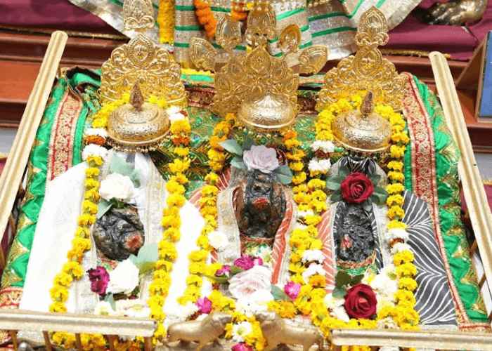 maa-vaishno-devi-dham-vrindavan-entry-fee-gufa-darshan-timings-history