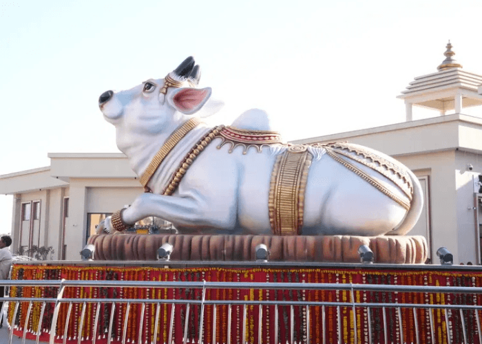 nandi-presence-in-the-chaar-dham-temple