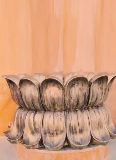   lotus flower at chaar dham temple vrindavan