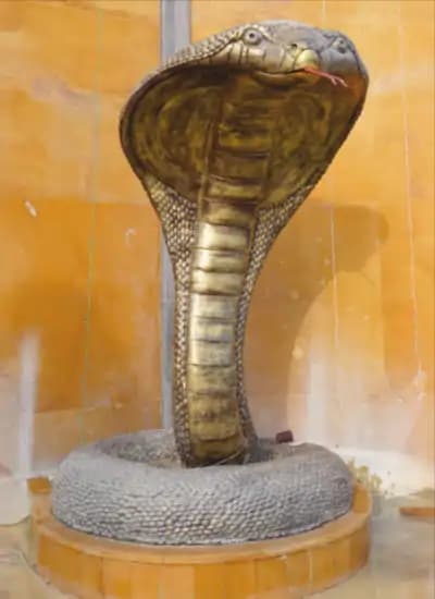 Nagraj Vasuki coiled around Lord Shiva’s neck