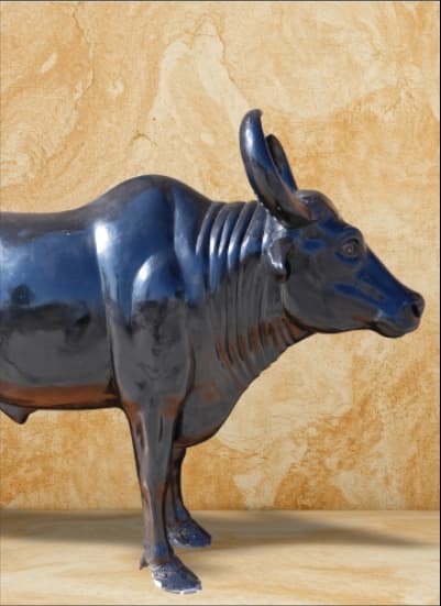 Bull associated with Shani Dev’s strength