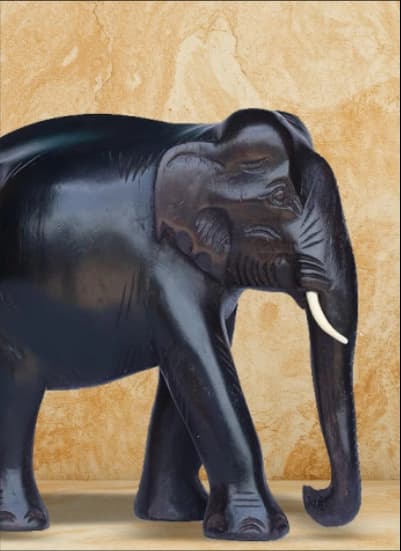 Elephant symbol linked with Shani Dev’s power & shani vehicle