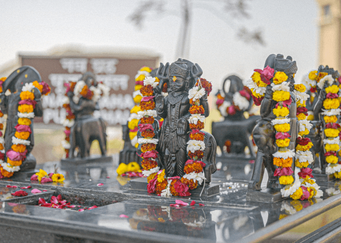 what-does-the-navgrah-puja-sthal-at-shani-dham-symbolise